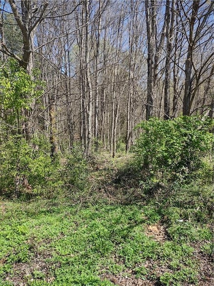 5550 Brookfield Ridge Dr, Winston Salem, NC 27105