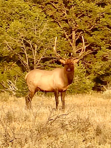 0 Hwy 96 and 595, Regina, NM 87017