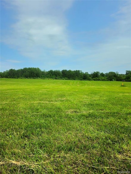3593 Genuine, Chippewa Township, MI 48858