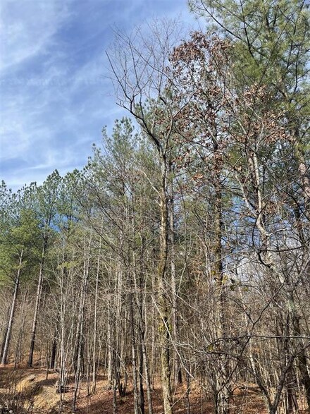 773 Timber Creek Trails South Xl, Broken Bow, OK 74728
