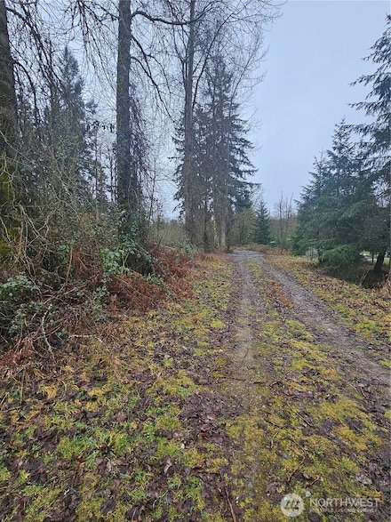 25933 96th Ave E, Graham, WA 98338