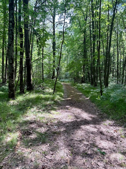 23266 Hayes Rd, Big Rapids, MI 49307
