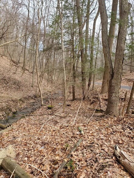 000 Toby Run Rd, Danville, PA 17821
