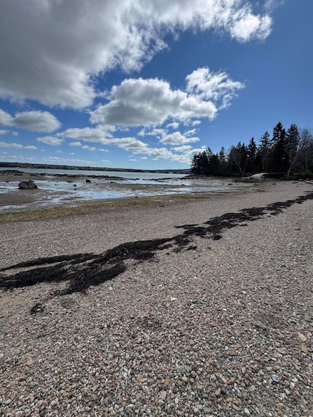10 Point Rd, Steuben, ME 04680