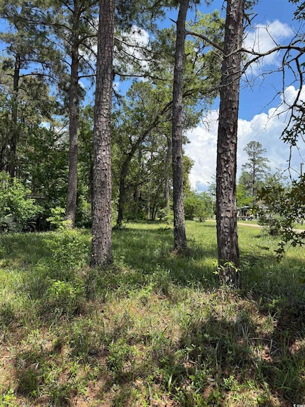 TBD Hampton Rd, Conway, SC 29527