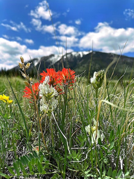 29 Aspen Highlands Trail, Elk Mountain, WY 82324