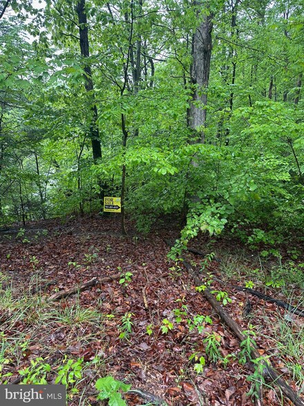 8540 Short St, Manassas, VA 20112