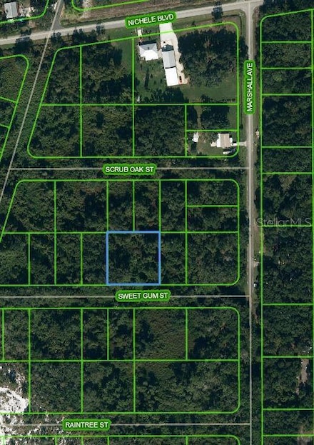 1510 Sweet Gum St, Lake Placid, FL 33852