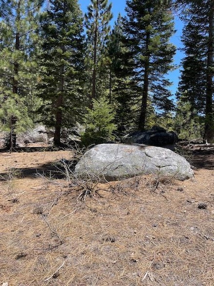 58303 Carter Dr, Ponderosa, CA 93265