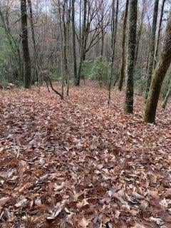 0 Pippin Cir Unit 7568375, Clarkesville, GA 30523