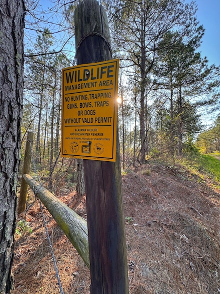 Fowler Hill, Hamilton, AL 35570