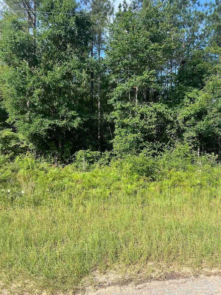 Lot 86 Pineview Church Rd, Jay, FL 32565