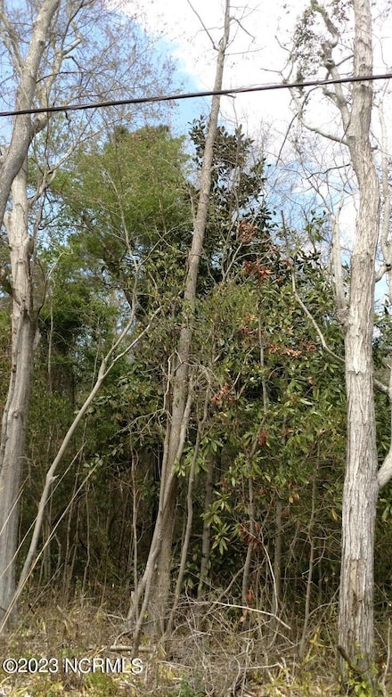 00 Pennsylvania Ave, Rocky Point, NC 28457