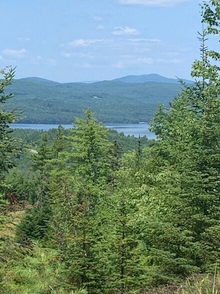 4 Gannon Rd, Lyman, NH 03585