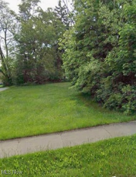 VL Mercer Ave, Akron, OH 44320