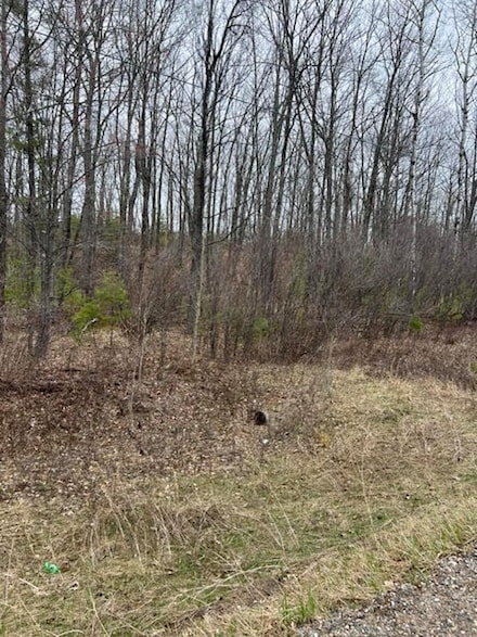 0 1 Mile Rd, Pembine, WI 54119