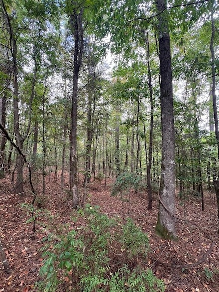 0 Jim Jones Rd Unit LotWP001 21622195, Cottondale, AL 35453