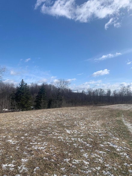 9350 Peach Ridge Ave NW, Sparta, MI 49345