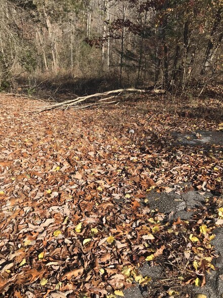 87 Mine Rd, 49ae3845-A517-4f0c-a930-657692e5efd8, GA 30755