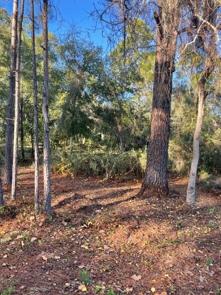 502 NE Avenue A, Carrabelle, FL 32322