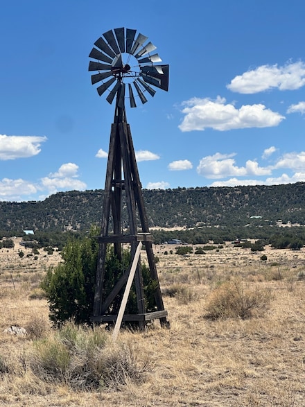 XX Cow Spring Dr, Quemado, NM 87829