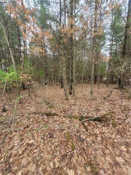 N1258 Owen Ave, Neillsville, WI 54456
