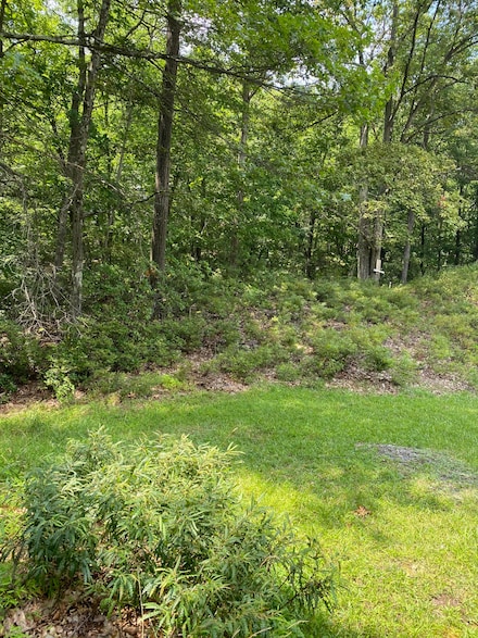 86 D Lookout Point Rd, Canadensis, PA 18325
