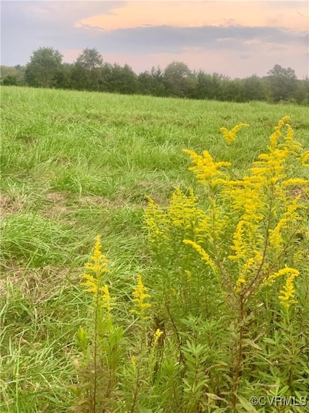 2.89 Acres Ginger Ln, Cartersville, VA 23027