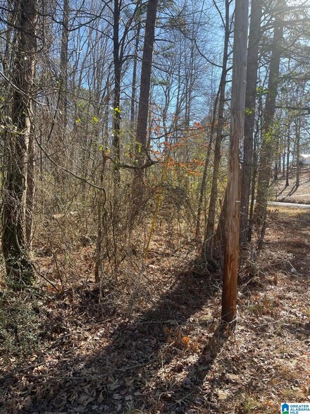 0 Smoke Rise Trail Unit 67 1342147, Warrior, AL 35180