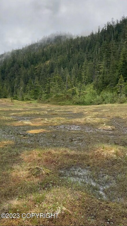 L21 Patent Place, Tatitlek, AK 99677