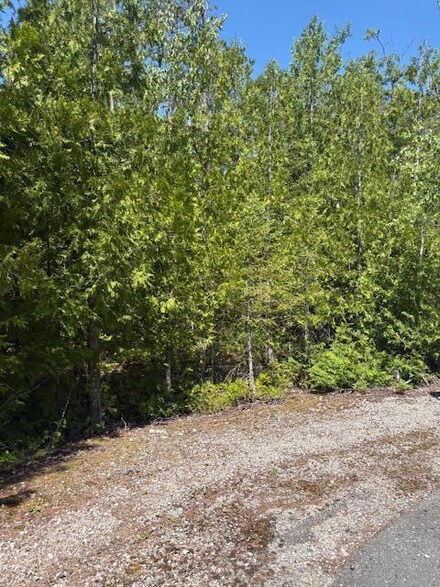 Lot 15 Tip Top Ct, Presque Isle, MI 49777