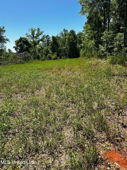 98.5 Acres Crossroads-Merrill Rd, Lucedale, MS 39452