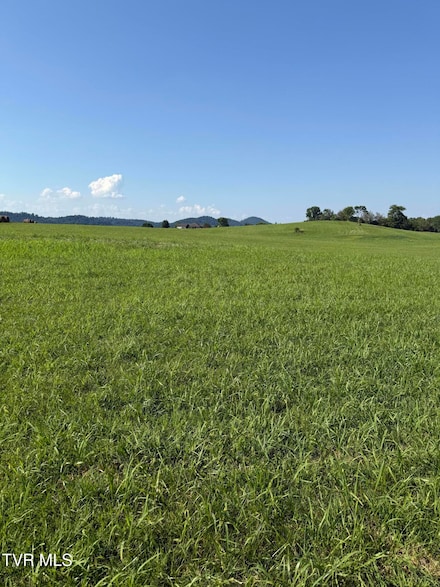 Lot 7 Mahoney Property Hwy 81 N, Jonesborough, TN 37659