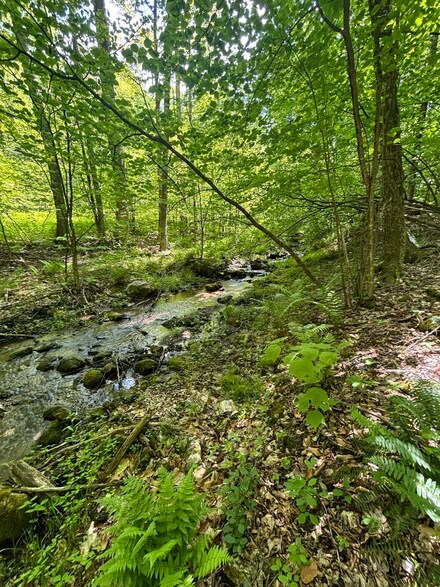 0 W Sandgate Rd, Sandgate, VT 05250