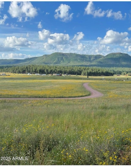 Lot 32 the Ranch at Alpine -- Unit 32, Alpine, AZ 85920