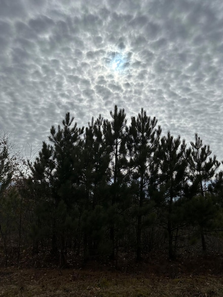 ON Cth Y, Tomahawk, WI 54487