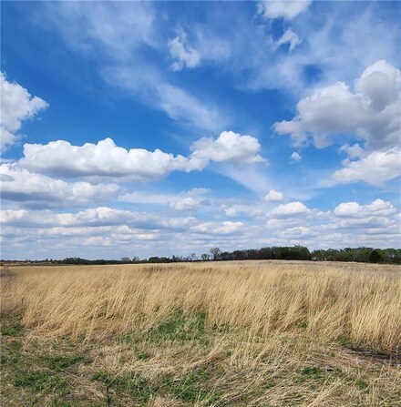 0 SE Honeysuckle Dr, Braymer, MO 64624
