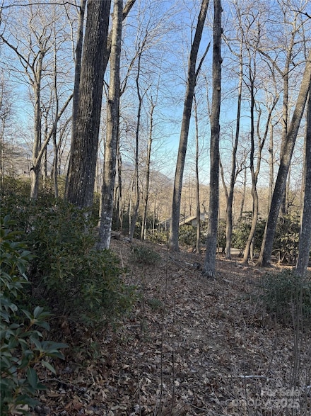 000 Fairway Loop Unit 6, Burnsville, NC 28714