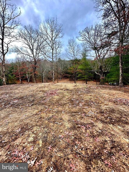 7.42 Acres Petersburg Pike, Dorcas, WV 26847