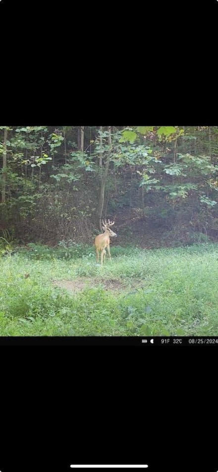 0 Quicks Run Rd, Vanceburg, KY 41179