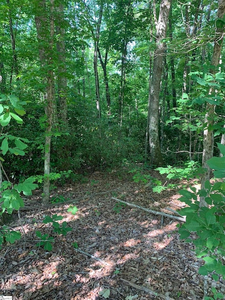 1335 Chinquapin Rd, Travelers Rest, SC 29690