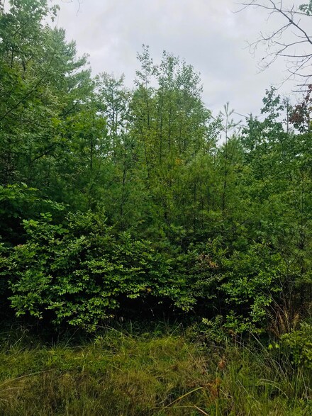00- D1 Long Swamp Rd, Lebanon, ME 04027