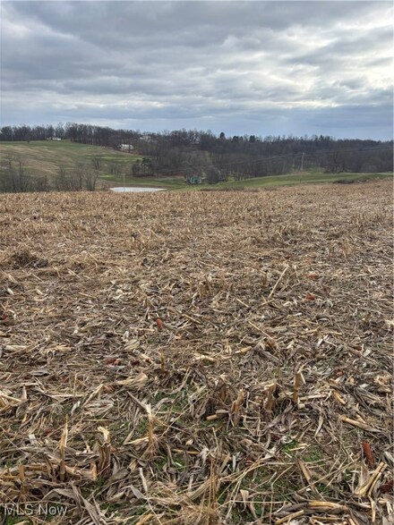 0 Township Road 103, Mechanic Township, OH 44654