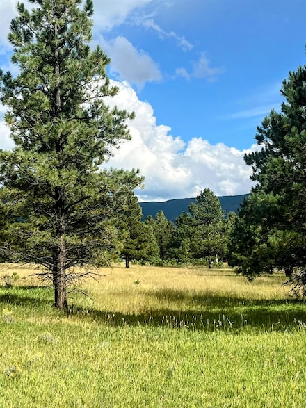 Lot 5 Pino, Angel Fire, NM 87710