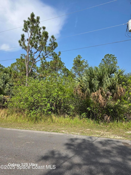 2837 Fitzpatrick Ave SW, Palm Bay, FL 32908