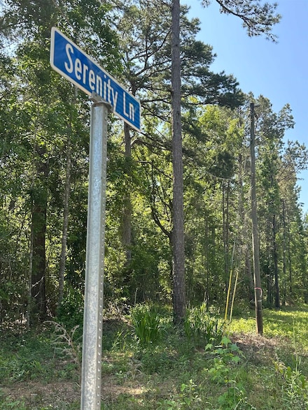 xxx Serenity Ln, Quincy, FL 32351