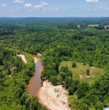 1565 County Road 103 Unit 1, Plantersville, AL 36758