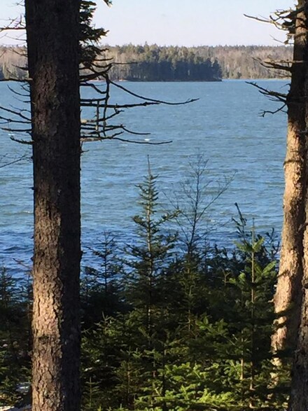 00 Bar Island, Milbridge, ME 04658