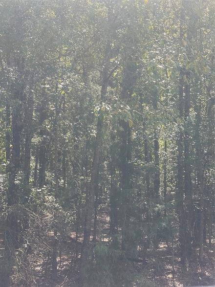 0 Ferry Lake Tract E Unit 21070000, Oil City, LA 71061