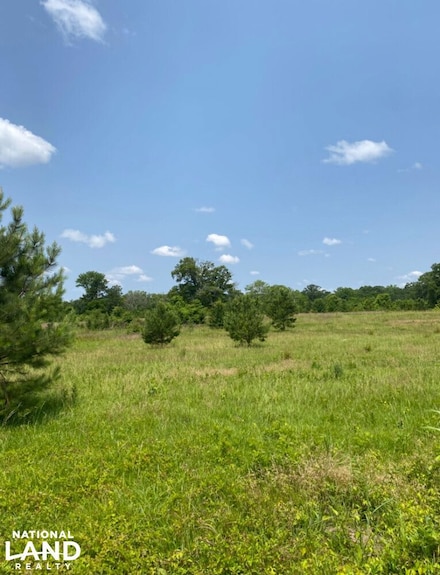 0 Highway 61 Unit 24027955, Columbiana, AL 35051